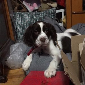 Meet your Posher, Ali